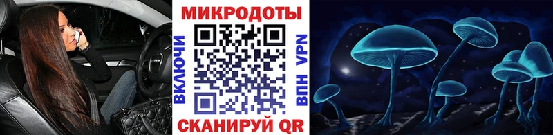 нарко площадка какой сайт  Ветлуга  Галлюциногенные грибы MAGIC MUSHROOMS  купить наркоту  mega ONION 