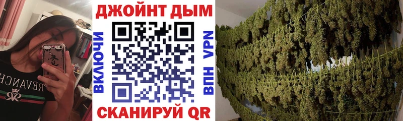 Шишки марихуана гибрид  купить наркоту  Ветлуга 